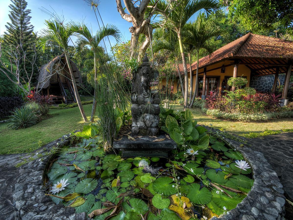 Puri Mangga Sea View Resort And Spa Lovina Esterno foto